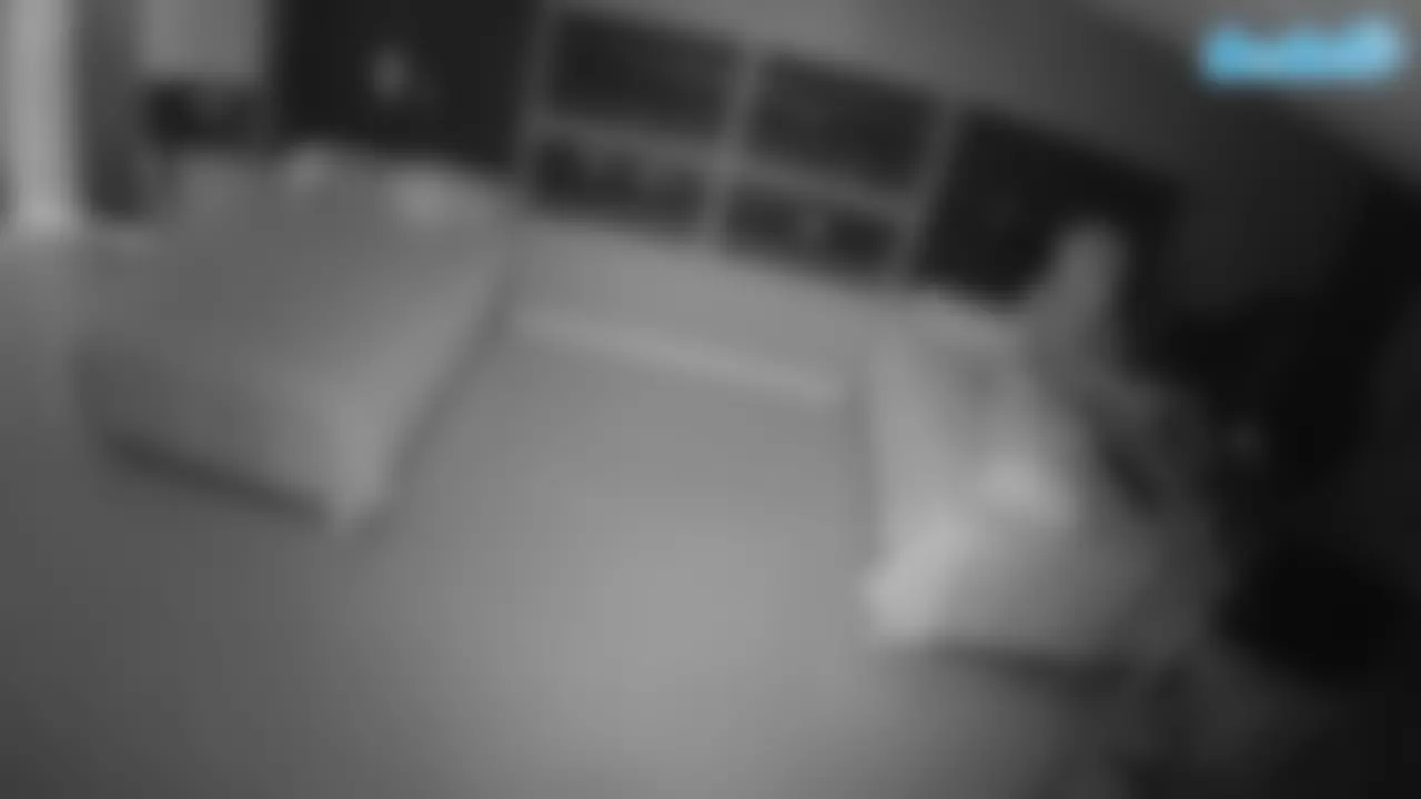 voyeurcam-casa-salsa-versus-room's Live Sex Cam Show