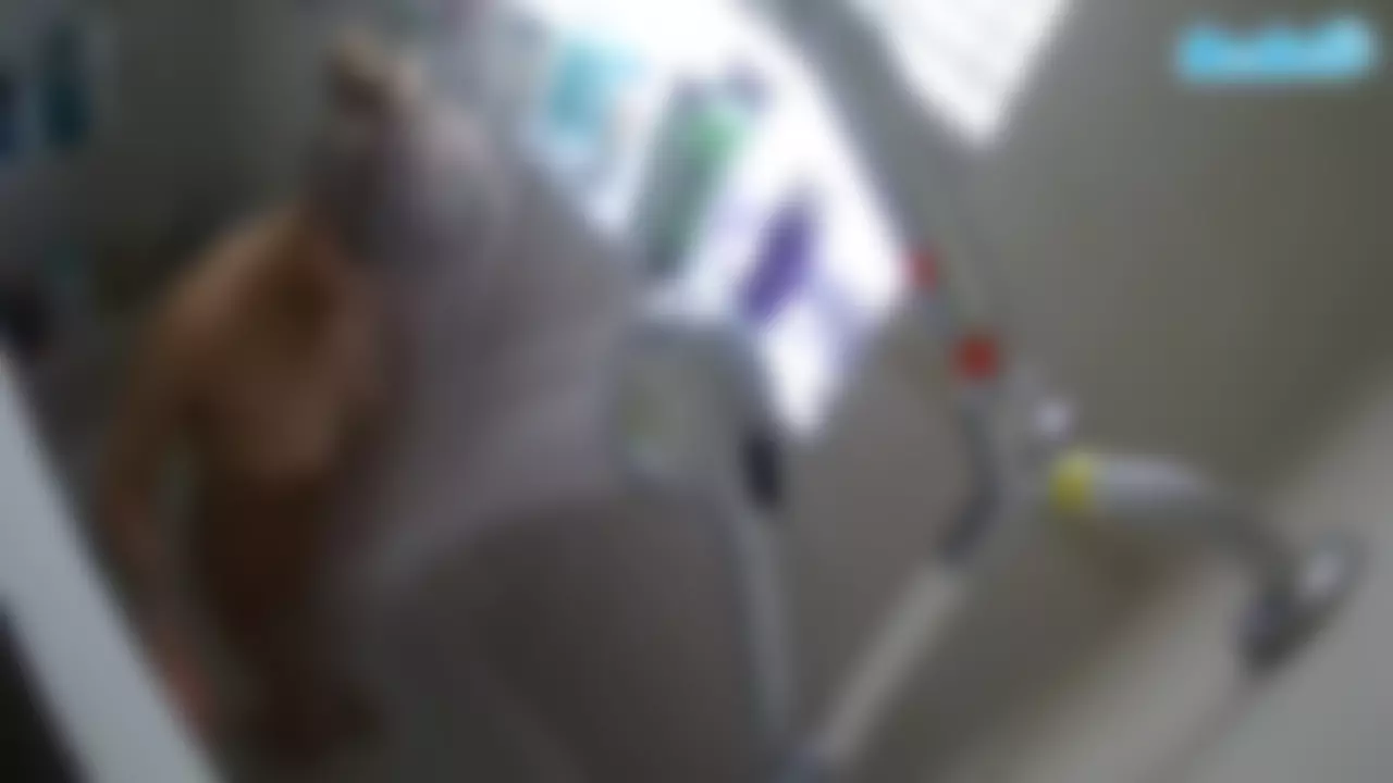 voyeurcam charleys bathroom's Live Sex Cam Show