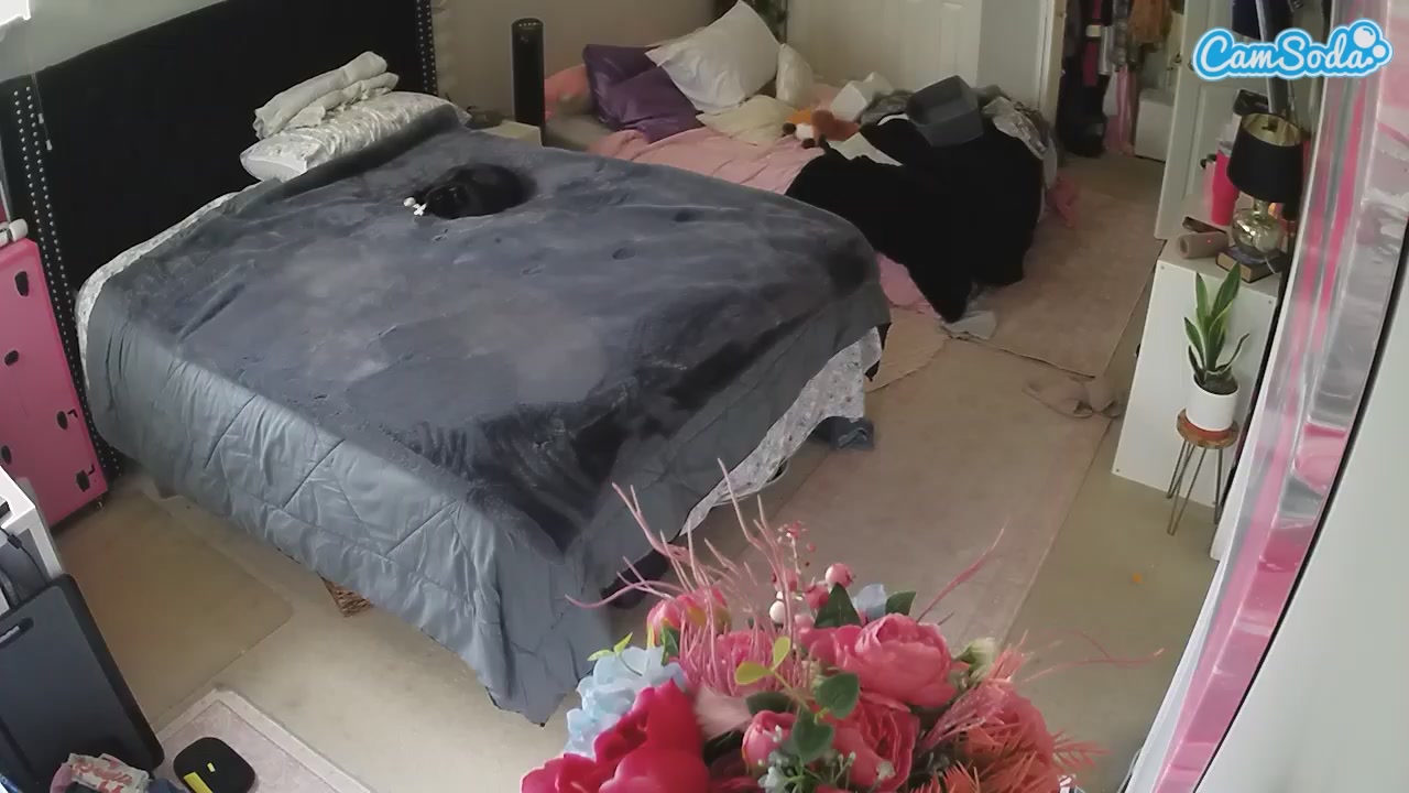 voyeurcam house charleys room Nude on Cam