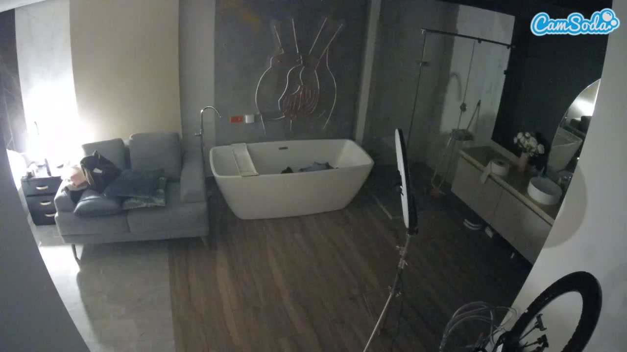 Casa Salsa Bathroom 4 Nude on Cam