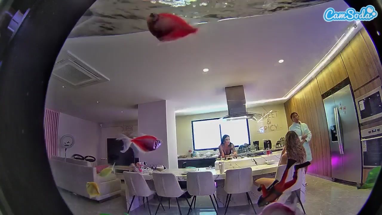 voyeurcam casa salsa fishtank Nude on Cam