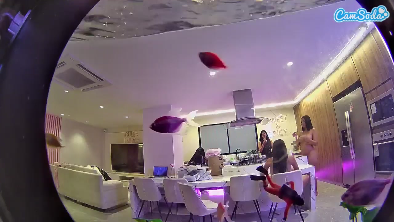 voyeurcam casa salsa fishtank Nude on Cam