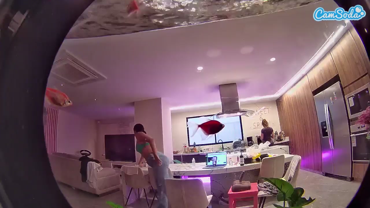 voyeurcam casa salsa fishtank Nude on Cam