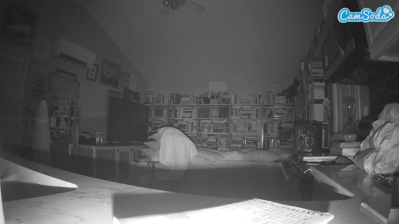 Live cam show with voyeurcam bridgetleewalters 02