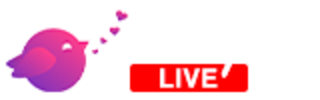 EXY Live Cams