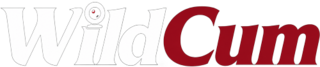 WildCum Live Cams