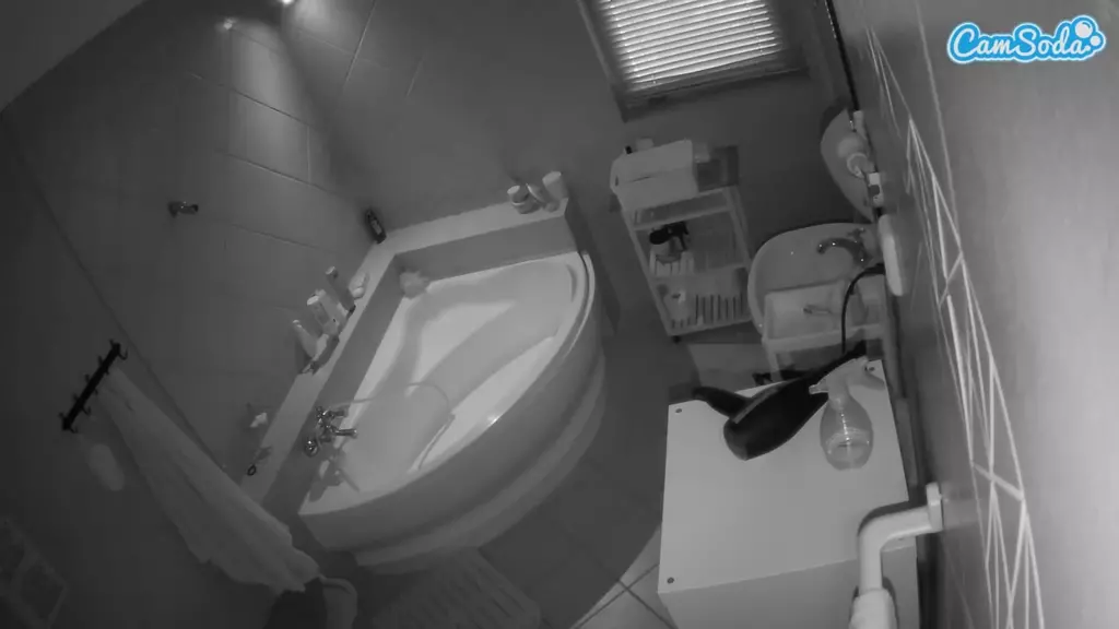 Julmodels Bathroom 1st Floor-2 live cam