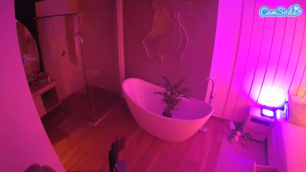 Casa Salsa Bathroom 5 live cam