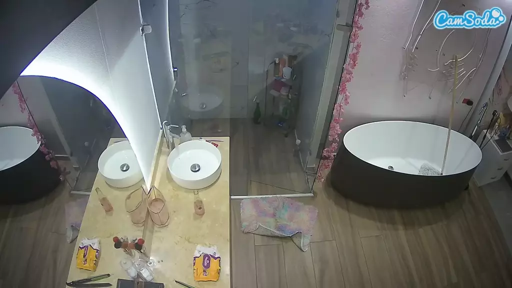 Casa Salsa Bathroom 6 live cam
