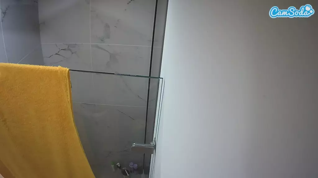 Casa Salsa Bathroom 7 live cam