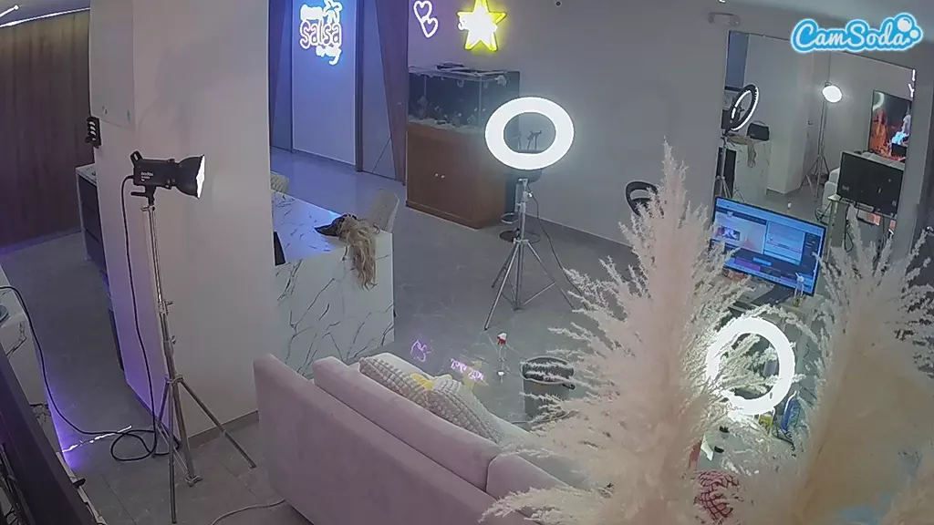 Casa Salsa Parlor live cam