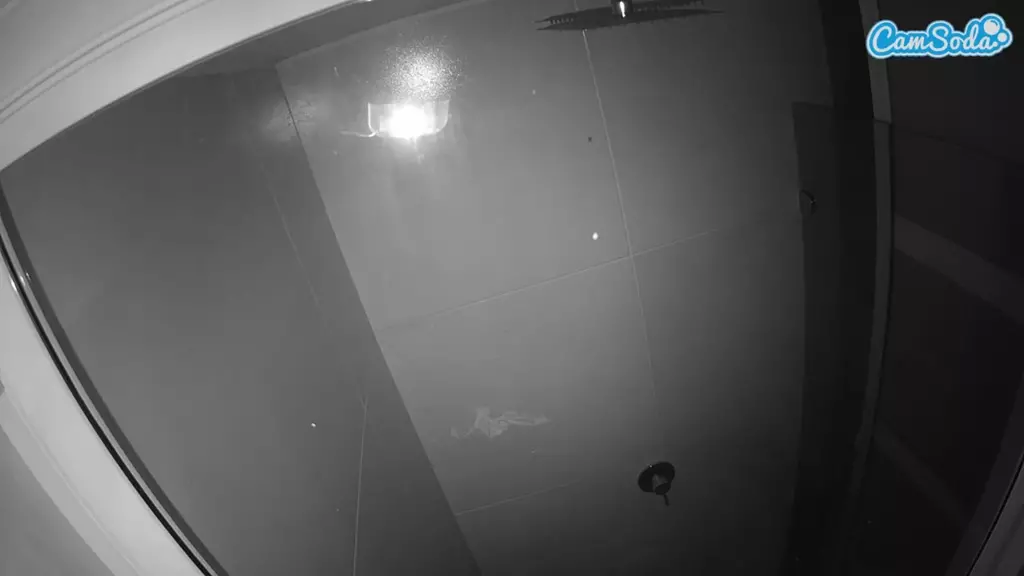 voyeurcam casa salsa bathroom 10 live cam