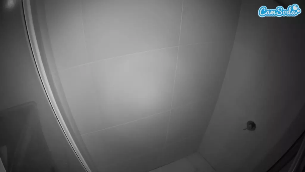 voyeurcam casa salsa bathroom 8 live cam