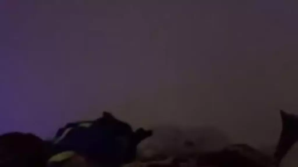 BrownCreamer live cam