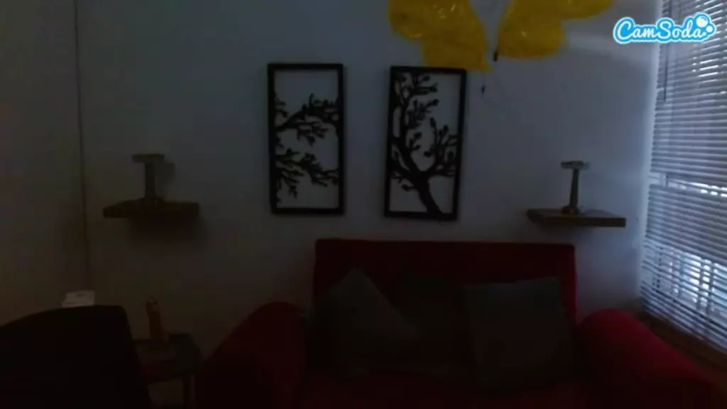 aylany_brunett live cam