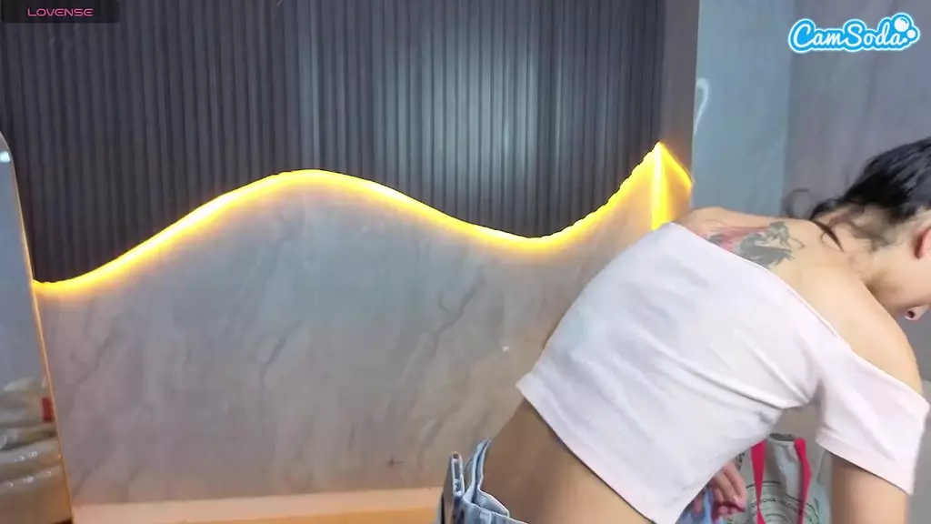 BODYPERFECT live cam
