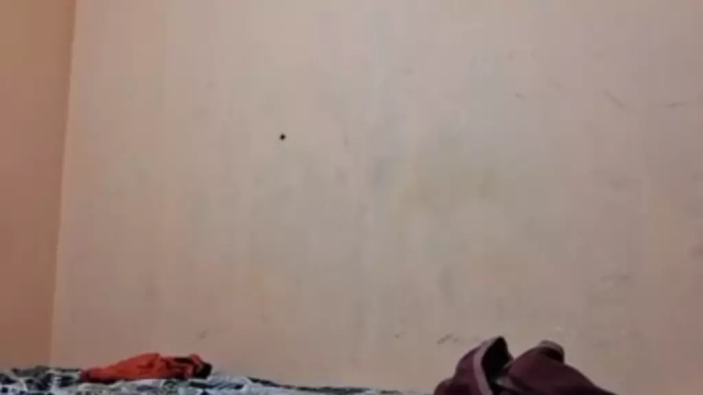 reshmisexy live cam