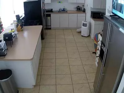 kitchen's Live Sex Cam Show