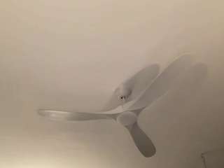 danidaniels Live Webcam on CamSoda