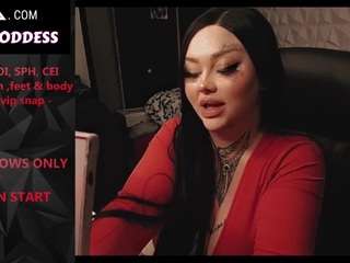 boootystar live cam profile