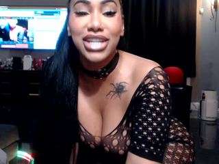  katt-leya chat room
