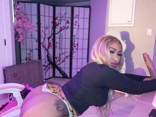 katt-leya Live Webcam on CamSoda katt-leya Live Webcam on CamSoda