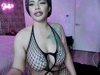 strellakat webcam