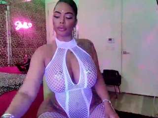 strellakat webcam