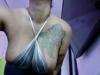 strellakat webcam