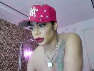 strellakat webcam