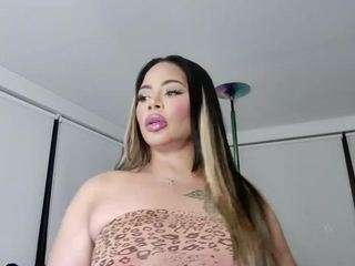 strellakat webcam model