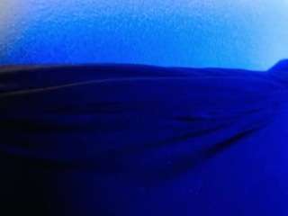 juicyjuicysticky webcam