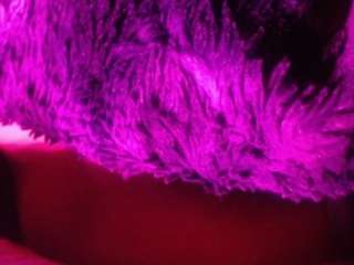 juicyjuicysticky webcam