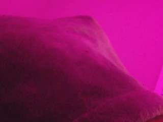 juicyjuicysticky Live Webcam on CamSoda