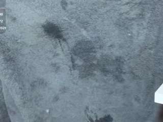 antonella-cano live cam