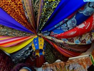 elizagrey webcam model