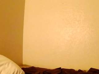 shesawaterpark webcam