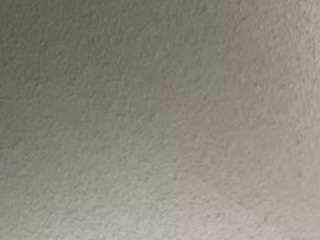 taylor-starr Live Webcam on CamSoda