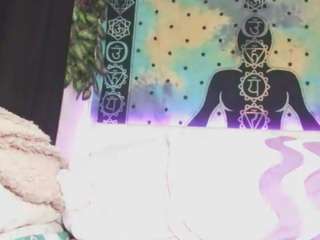 chaneel webcam