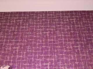 molly-jackson Live Webcam on CamSoda