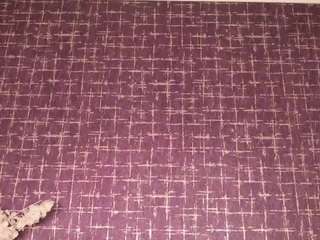 molly-jackson's CamSoda show and profile