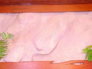 molly-jackson's CamSoda show and profile