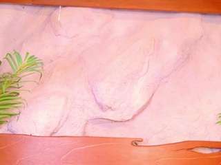 molly-jackson webcam