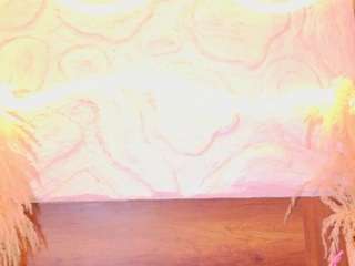 molly-jackson's CamSoda show and profile