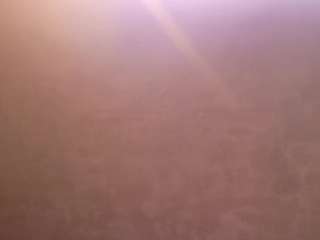 molly-jackson