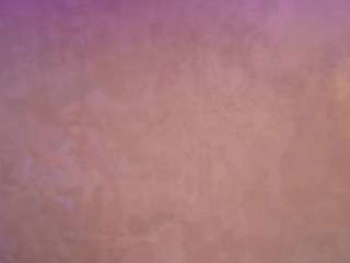 molly-jackson live profile