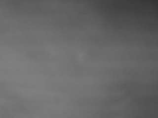 voyeurcam freakyfeline 01 live cam preview