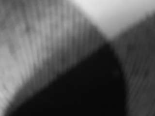 voyeurcam freakyfeline 01