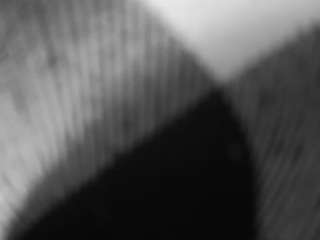 voyeurcam-freakyfeline-01