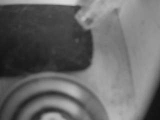 voyeurcam-freakyfeline-01